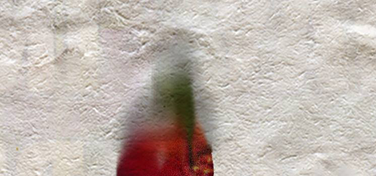 Il genio non&nbsp;esiste!