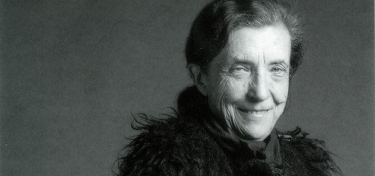 Quel mistero nascosto nelle celle e quel ragno che assomiglia a&nbsp;mamma